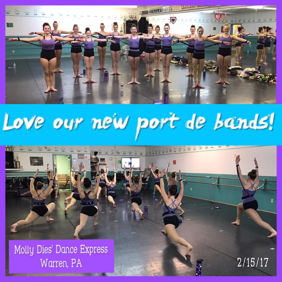 What do they say about my Port de Band® by StretchStrength.com? Testimonials and Reviews by real dance teachers and educators!