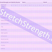 Daily Stretch and Strength Exercise Checklist for Dancers - StretchStrength.com